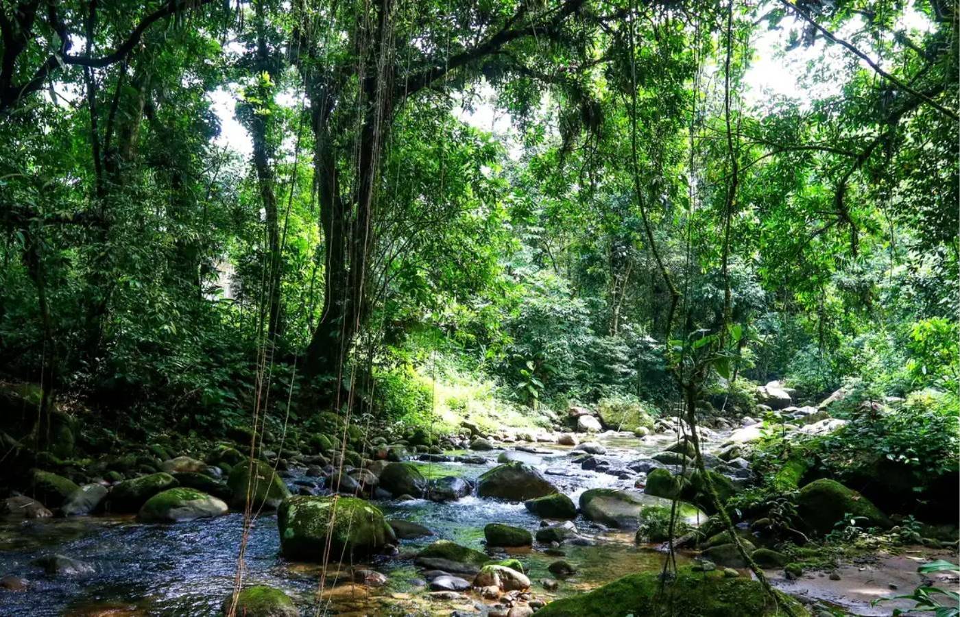 Licenciamento Ambiental: Região Sudeste soma mais de 24,7 mil pedidos em análise